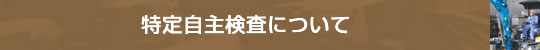 特定自主検査について